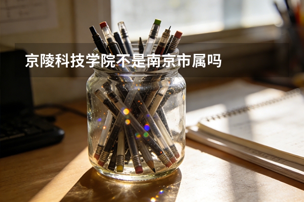京陵科技学院不是南京市属吗