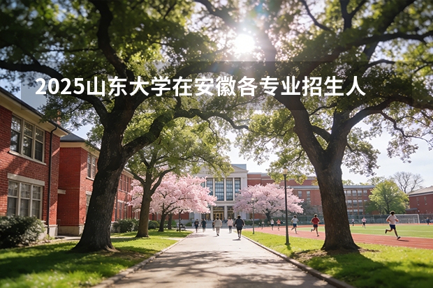 2025山东大学在安徽各专业招生人数多少（2026参考）