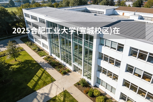 2025合肥工业大学(宣城校区)在河北各专业招生人数多少（2026参考）
