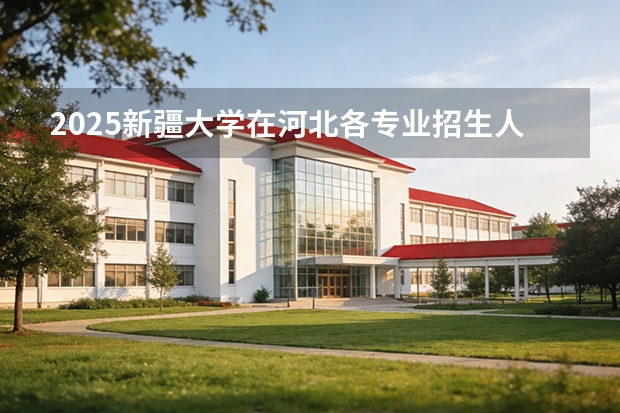 2025新疆大学在河北各专业招生人数多少（2026参考）