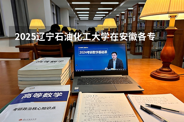 2025辽宁石油化工大学在安徽各专业招生人数多少（2026参考）