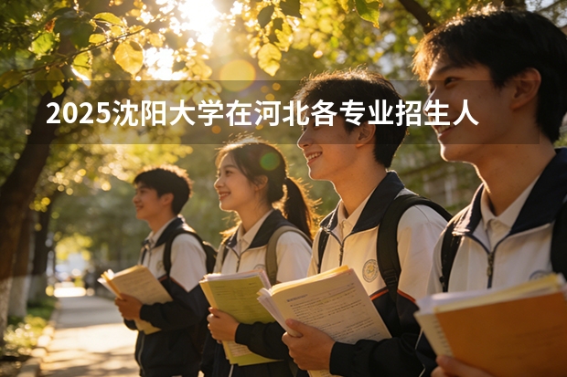 2025沈阳大学在河北各专业招生人数多少（2026参考）