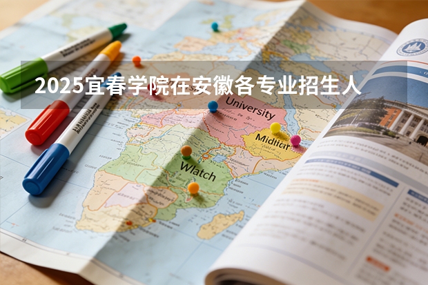 2025宜春学院在安徽各专业招生人数多少（2026参考）