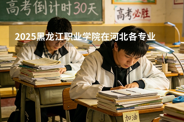 2025黑龙江职业学院在河北各专业招生人数多少（2026参考）