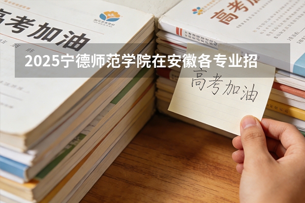 2025宁德师范学院在安徽各专业招生人数多少（2026参考）