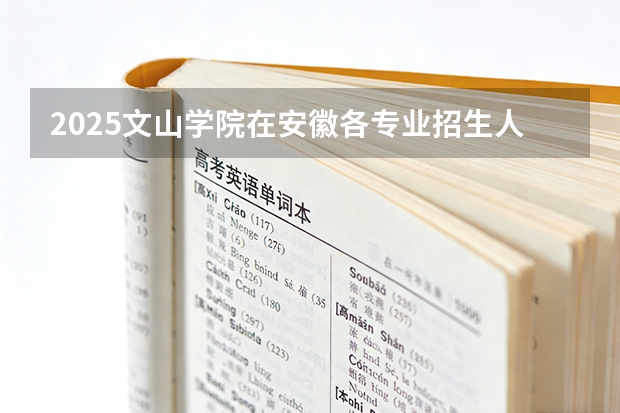 2025文山学院在安徽各专业招生人数多少（2026参考）