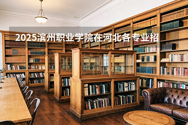 2025滨州职业学院在河北各专业招生人数多少（2026参考）