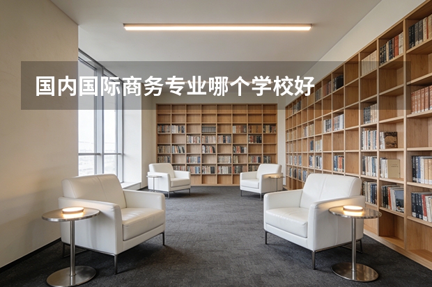 国内国际商务专业哪个学校好