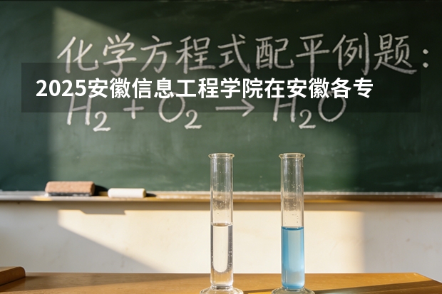 2025安徽信息工程学院在安徽各专业招生人数多少（2026参考）