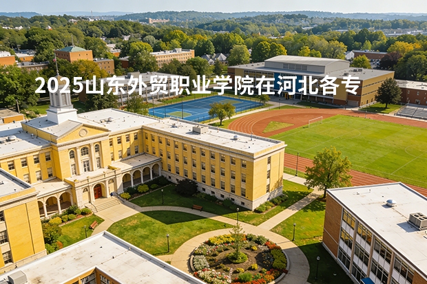 2025山东外贸职业学院在河北各专业招生人数多少（2026参考）