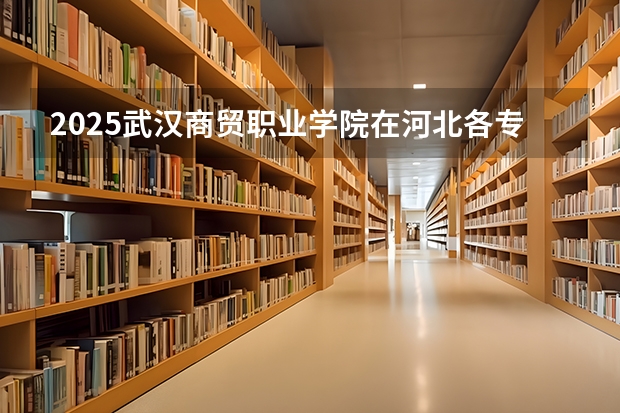 2025武汉商贸职业学院在河北各专业招生人数多少（2026参考）