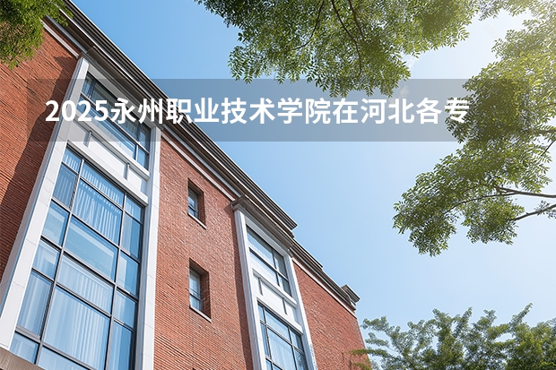 2025永州职业技术学院在河北各专业招生人数多少（2026参考）