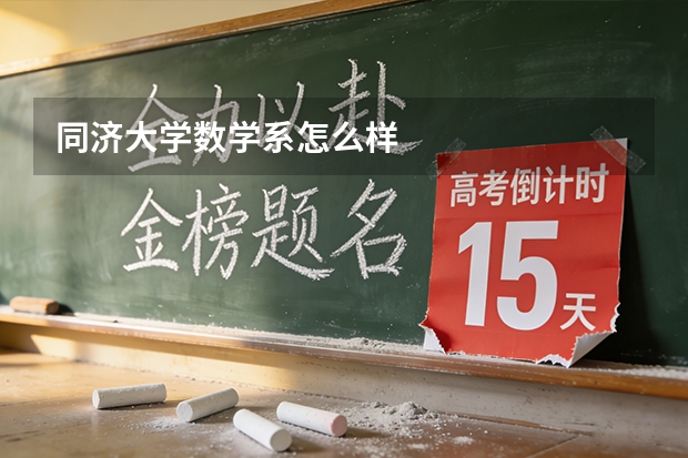 同济大学数学系怎么样