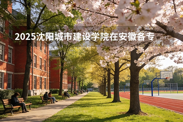 2025沈阳城市建设学院在安徽各专业招生人数多少（2026参考）