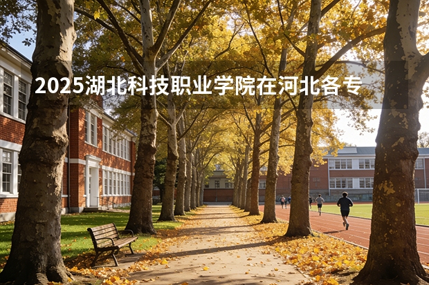 2025湖北科技职业学院在河北各专业招生人数多少（2026参考）