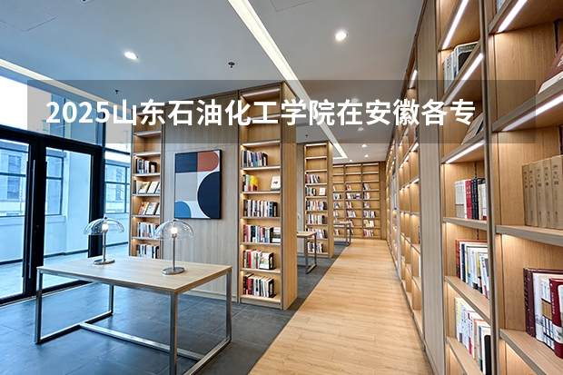 2025山东石油化工学院在安徽各专业招生人数多少（2026参考）