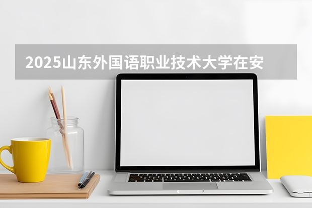 2025山东外国语职业技术大学在安徽各专业招生人数多少（2026参考）