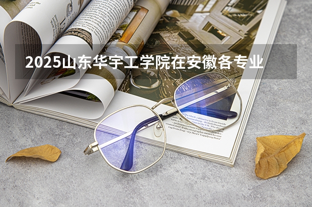 2025山东华宇工学院在安徽各专业招生人数多少（2026参考）
