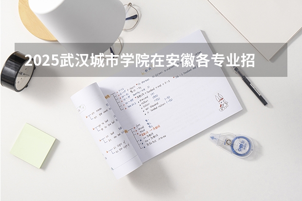 2025武汉城市学院在安徽各专业招生人数多少（2026参考）