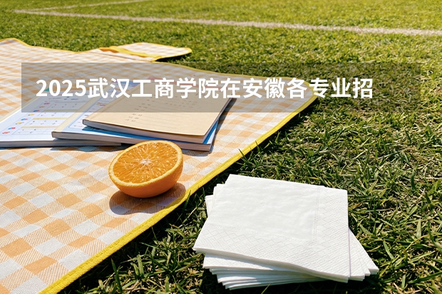 2025武汉工商学院在安徽各专业招生人数多少（2026参考）