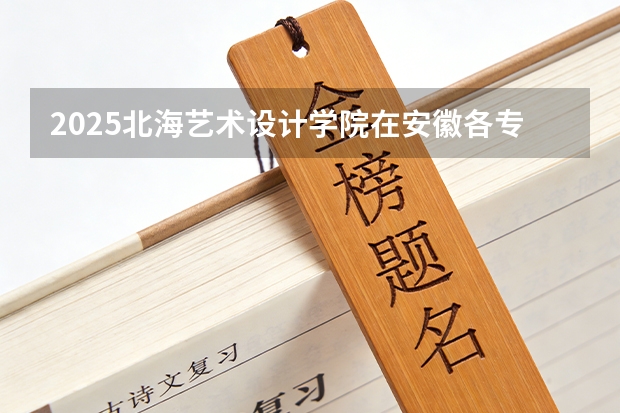 2025北海艺术设计学院在安徽各专业招生人数多少（2026参考）