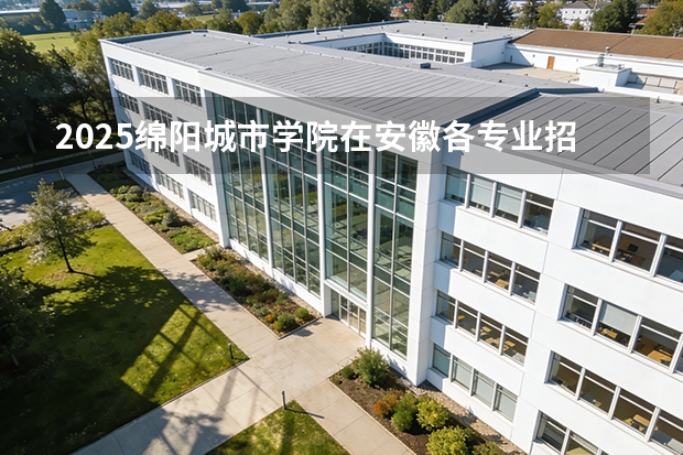 2025绵阳城市学院在安徽各专业招生人数多少（2026参考）