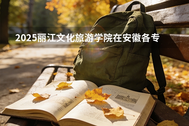 2025丽江文化旅游学院在安徽各专业招生人数多少（2026参考）