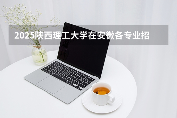 2025陕西理工大学在安徽各专业招生人数多少（2026参考）