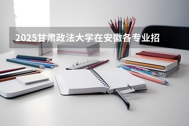 2025甘肃政法大学在安徽各专业招生人数多少（2026参考）