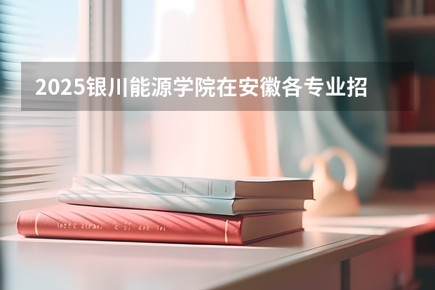2025银川能源学院在安徽各专业招生人数多少（2026参考）
