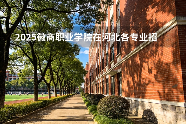 2025徽商职业学院在河北各专业招生人数多少（2026参考）