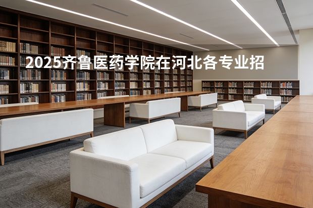 2025齐鲁医药学院在河北各专业招生人数多少（2026参考）