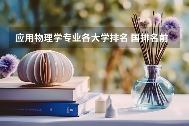 应用物理学专业各大学排名 国排名前20的大学是那几所？