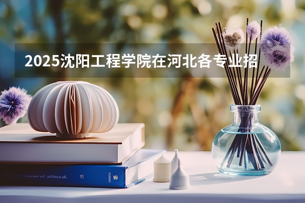 2025沈阳工程学院在河北各专业招生人数多少（2026参考）