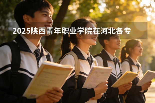 2025陕西青年职业学院在河北各专业招生人数多少（2026参考）