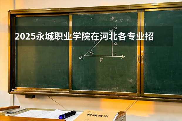 2025永城职业学院在河北各专业招生人数多少（2026参考）
