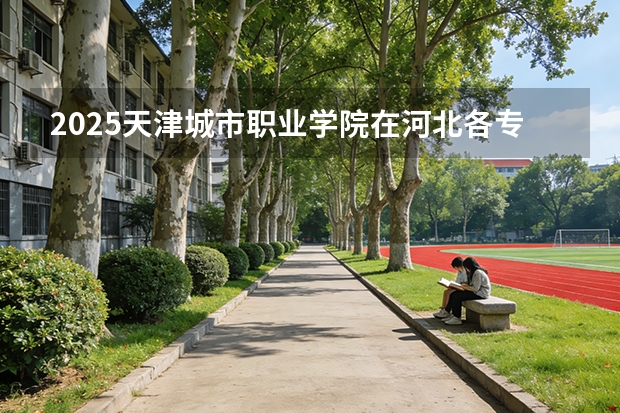 2025天津城市职业学院在河北各专业招生人数多少（2026参考）