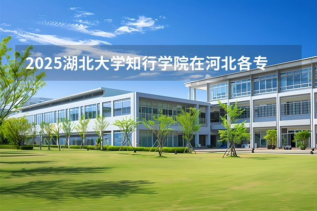 2025湖北大学知行学院在河北各专业招生人数多少（2026参考）