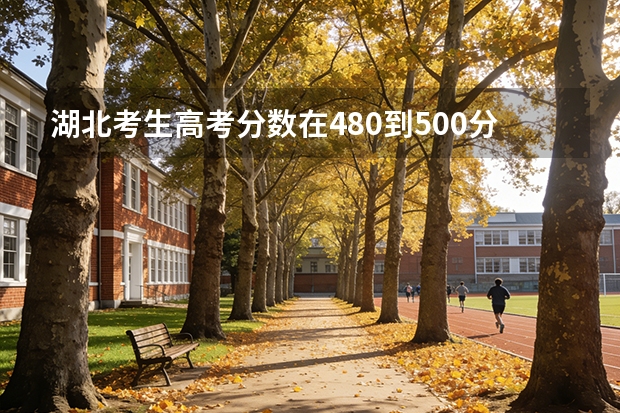 湖北考生高考分数在480到500分之间能报什么二本的学校？
