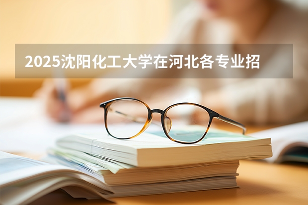 2025沈阳化工大学在河北各专业招生人数多少（2026参考）