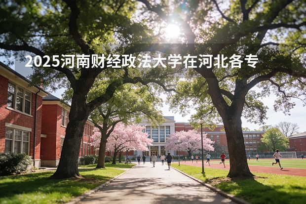 2025河南财经政法大学在河北各专业招生人数多少（2026参考）