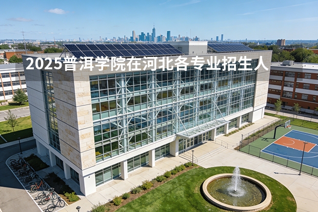 2025普洱学院在河北各专业招生人数多少（2026参考）