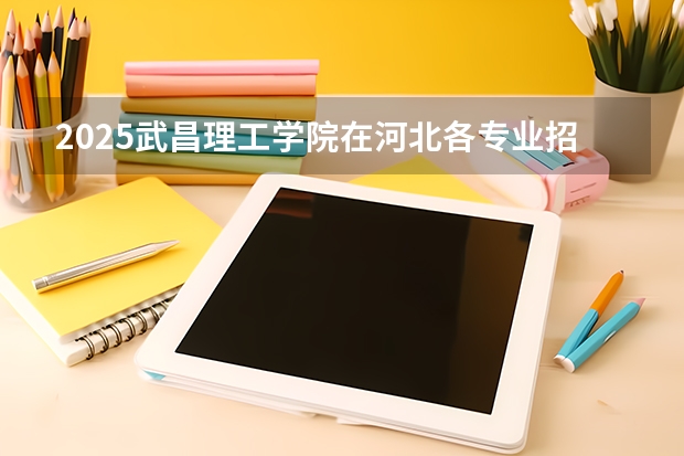 2025武昌理工学院在河北各专业招生人数多少（2026参考）