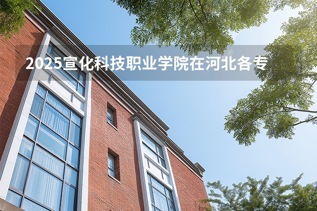 2025宣化科技职业学院在河北各专业招生人数多少（2026参考）