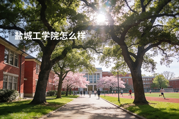 盐城工学院怎么样