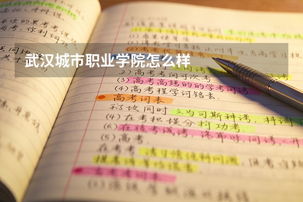武汉城市职业学院怎么样
