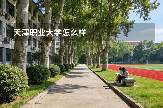 天津职业大学怎么样