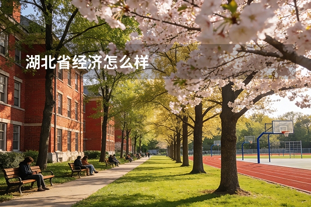 湖北省经济怎么样