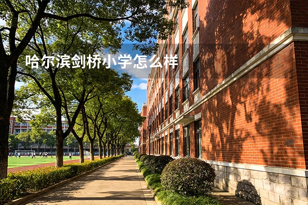 哈尔滨剑桥小学怎么样