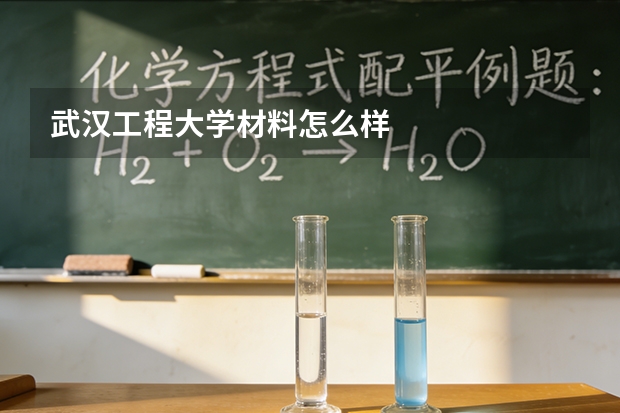武汉工程大学材料怎么样